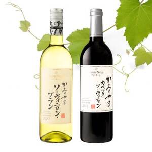 サントネージュワインが贈るカベルネ・ソーヴィニヨン/ソーヴィニヨン・ブラン赤白2本セット
