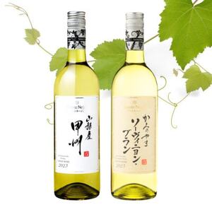 サントネージュワインが贈る甲州/ソーヴィニヨンブラン 白ワイン 2本 セット