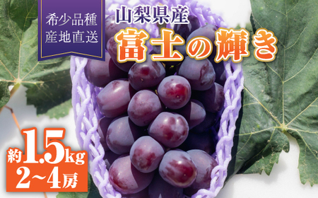 y2026Nzxm̋P1[1.5kg(2`4[)yzsnFzy1613571z