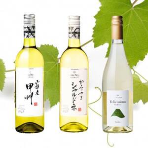 山梨市おすすめ白ワイン3本セット(1)【1613625】