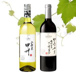 サントネージュワインが贈る甲州/カベルネソーヴィニヨン 白赤 計2本セット【1613586】