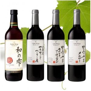サントネージュワインおすすめ赤ワイン4本セット【1616283】