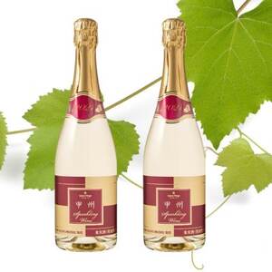 サントネージュ　甲州スパークリング　2本【1616304】