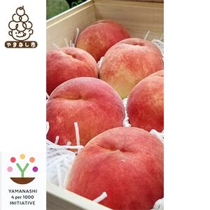 �y2026�����\��z���ʌ���!�y�������˔�����z5�`6�ʓ���@�R���s�Y�n�����@��2kg���y�z���s�n��F�����z�y1178164�z