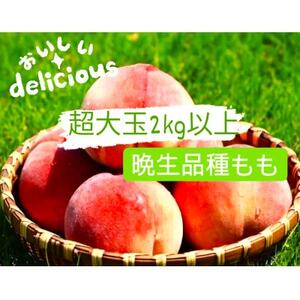 Ӑi3`6ʓ_ƒ@2kgȏyzsnFzy1178180z
