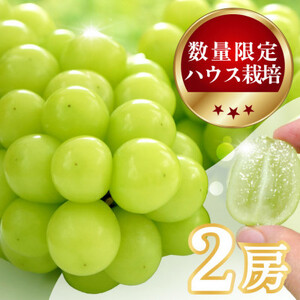 yʌz6{`7{nEX͔|́wVC}XJbgx 2[@1kgyzsnFEꌧzy1041839z