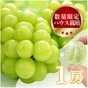 yʌ z6{`7{BnEX͔|́wVC}XJbgx 1[yzsnFEꌧzy1041840z