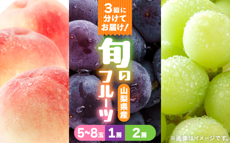 yŒցz2kg(5`8)@Ԃǂ1[@VC}XJbg2[1kgȏS3yzsnFEꌧzy4067606z