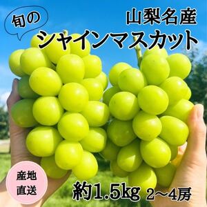 2026NYn RY!{̃VC}XJbg 2`4[(1.5kg)yzsnFzy1640710z