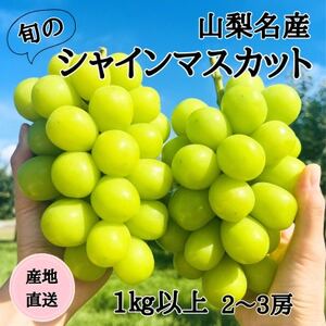 2026NYn@RY!{̃VC}XJbg@2`3[(1kgȏ)yzsnFzy1640021z