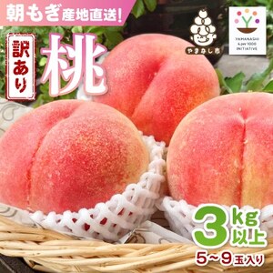 [訳あり品]ご家庭桃・朝もぎ産地直送・3kg以上[配送不可地域:離島]