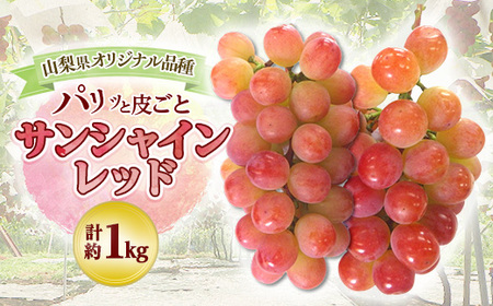 [甘さと香りをお楽しみください!]山梨県オリジナル新品種サンシャインレッド![計1kg程度][配送不可地域:離島]