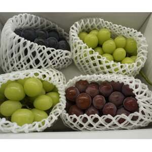 y2026NszʌԂǂOFZbg(NCj[iAVC}XJbgAsI[l)2kgyzsnFzy1670538z