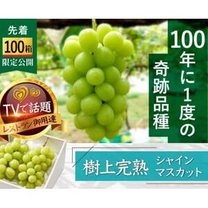 yCO~VpBz撅100w㊮nVC}XJbgx5NAfBAo쓍yzsnFzy1659950z