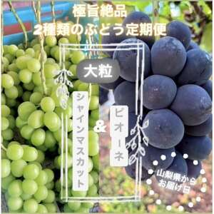 yŒցz{̃sI[l+VC}XJbg2`3[(1.5kg)S2yzsnFzy4075417z