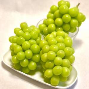 2026Nstyڂ͖󂠂?͖!z_AgVC}XJbgv1kgyƒpzyzsnFzy1679907z