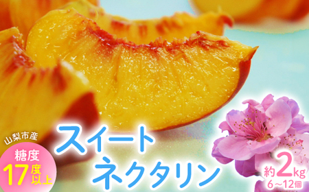 2026Ns@XC[glN^@2kg(6`12)yzsnFEkCEꌧEElEBzy1676551z