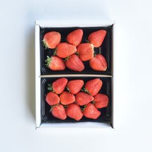 yŒցzRsY@{̃t[c֑S4yzsnFEꌧzy4074306z