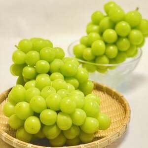 y2026Nstz󂠂!YҒVC}XJbg v1kgyɂ͑ËȂ!zyzsnFzy1681114z