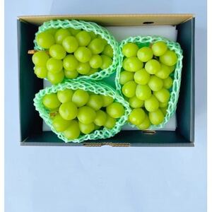 yŒցz2026Nx@s\VC}XJbg2.0kg 3-4[S2yzsnFEꌧzy4069967z