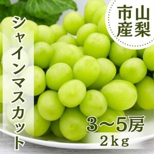 y2026Nstz݂VC}XJbg 2kg(3`5[)yzsnFzy1689779z