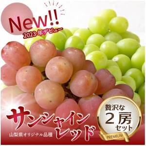 2026年発送[数量限定]希少な新品種サンシャインレッドと大人気シャインマスカットの贅沢2房セット[配送不可地域:離島・沖縄県]