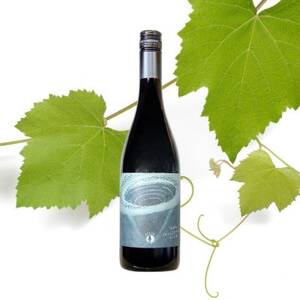 三養醸造 ヤマソービニオン