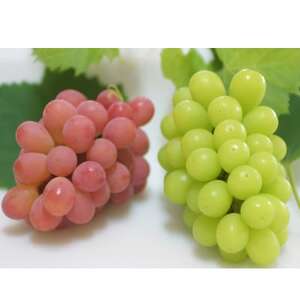 y2026NzTVCbhVC}XJbg ґ2FHה v1kg y_AgzyzsnFzy1690334z