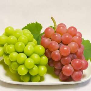 y2026NzVC}XJbgTVCbhɂɂHה׃Zbgv1kgyʌzyzsnFzy1690563z