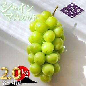 y2026N stzRRsY ̂ VC}XJbg 2.0kg (3`4[)yzsnFEꌧzy1691269z