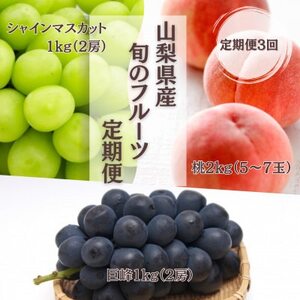 [発送月固定定期便][2026年先行受付]フルーツ定期便 桃2kg 巨峰1kg シャイン1kg全3回[配送不可地域:離島]