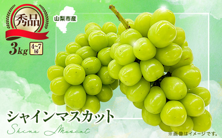 �y2026�N��s��t�z��l�C! �V���C���}�X�J�b�g�G 3kg(4�`7�[)�y�z���s�n��F�����z�y1691662�z