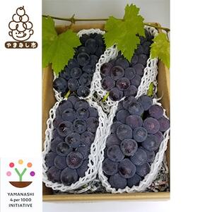 �y2026�����\��z�_�ƒ��ǂ�햳������@3�`5�[����@�R���s�Y�n�����@��2kg�ȏ�y�z���s�n��F�����z�y1178163�z