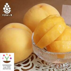 �y2026�����\��z�������@�_�ƒ��ǂ蒼�����I���@4�`6�ʓ���@2kg�ȏ�y�z���s�n��F�����z�y1178166�z