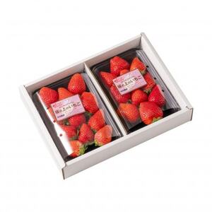 �R�����Y��̏�̂�����280g×2�y�z���s�n��F�����z�y1367897�z