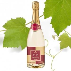 サントネージュ 甲州 スパークリング 1本