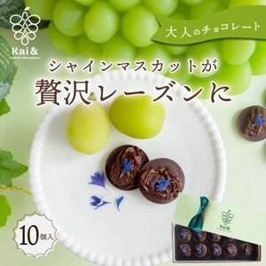 �V���C���}�X�J�b�g���[�Y���̃`���R���[�g�}���f�B�A�� 10�� �R�����Y�V���C���}�X�J�b�g�g�p�y1697053�z