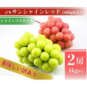 �y2026�N��s�\��z�T���V���C�����b�h�ƃV���C���}�X�J�b�g�@���������󂠂�v1kg�l�ߍ��킹�y�z���s�n��F�����z�y1694812�z