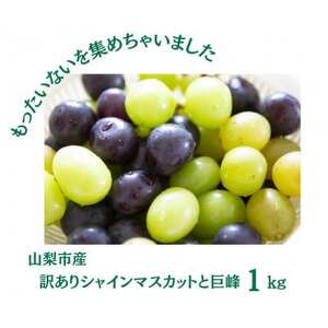 [2026年先行受付]訳あり カット シャインマスカット カット 巨峰 計1kg[配送不可地域:離島・沖縄県]