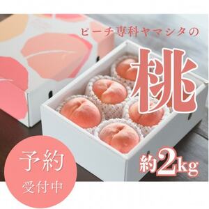 先行受付![2026年7月発送開始]もも農家ヤマシタ 桃の産地山梨から直送 2kg [配送不可地域:離島]