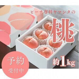 先行受付![2026年7月発送開始]桃の産地山梨からお届け ピーチ専科ヤマシタの桃 1kg[配送不可地域:離島]