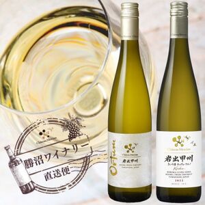 シャトー・メルシャン 岩出甲州 2種飲み比べセット[配送不可地域:離島]
