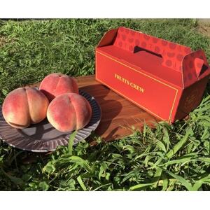 [果汁が弾ける初夏の宝石 日川白鳳]本場山梨品種指定キャンペーン1kg 6月中旬より順次発送[配送不可地域:離島・北海道・沖縄県・中国・四国・九州]