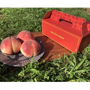 [山梨生まれ激レア品種 夢桃香]本場山梨品種指定お試し約1kg 6月下旬より順次発送[配送不可地域:離島・北海道・沖縄県・中国・四国・九州]