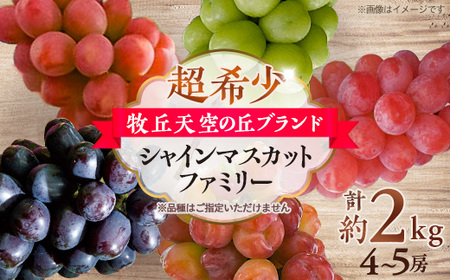 [2026年先行受付]超希少 牧丘天空の丘ブランド「シャインマスカットファミリーバラエティーセット」[配送不可地域:離島]