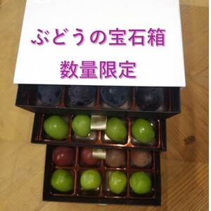 [2026年先行受付]ぶどうが光り輝く宝石に!!牧丘天空の丘ブランドぶどうの宝石箱 約700g[配送不可地域:離島]