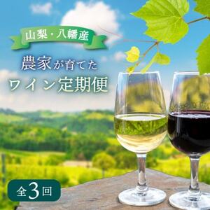 [毎月定期便]山梨 八幡洋酒 白ワイン 赤ワイン 飲み比べ 定期便 ぶどう農家全3回