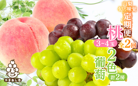 [発送月固定定期便]山梨旬の味覚定期便[桃 約1kg/2色葡萄 1kg以上]全2回[配送不可地域:離島]