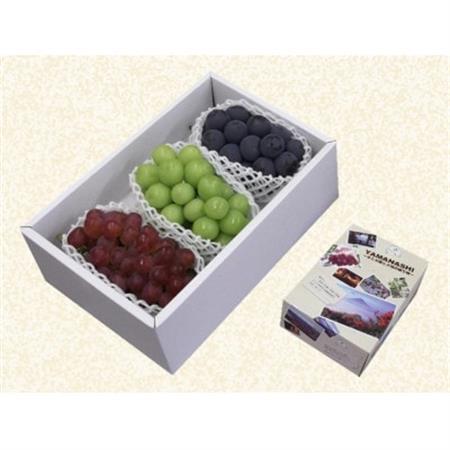 3色詰合せ(3房)/80[配送不可地域:離島]