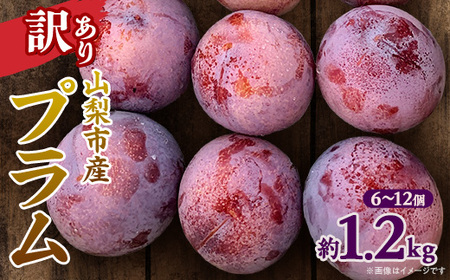 [先行受付]訳ありプラム(すもも) 約1.2kg(6〜12個)[配送不可地域:離島]
